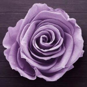 Meet your Posher, Jacquelyn